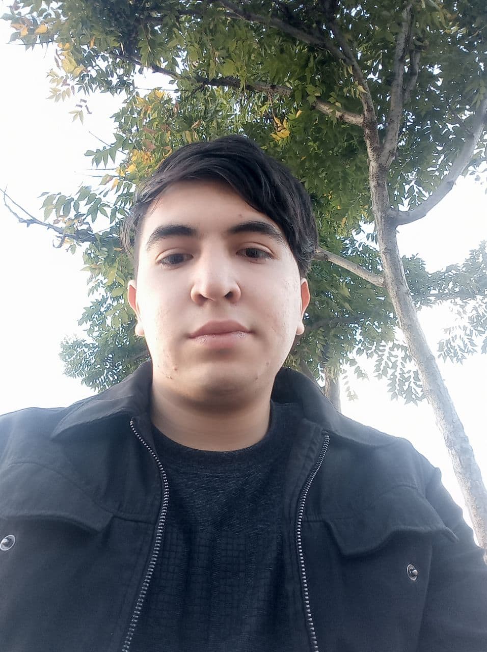 Leonardo Montes